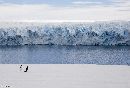 Pair of Adelie Penguins admire the crumbling face of the glacier
