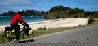 website-3