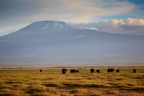 Tassie_Website_Pics-12