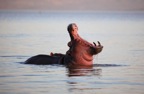 Tassie_Website_Pics-16