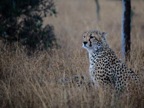 Tassie_Website_Pics-23