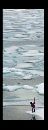 Entered Photo: Melting Inheritance - Young Inuit girl fishes on the fading polar pack ice.