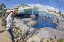 The new seal exhibit - Click to enlarge.