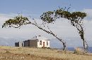 Windswept hut on Maria Island - Tasmania Photo Safari Tour with Chris Bray - Click to enlarge.