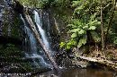 Lilydale Falls - Tasmania Photo Safari Tour with Chris Bray - Click to enlarge.