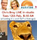 Live on Sunrise ch7 national TV - lion vs gopro - Click to enlarge.