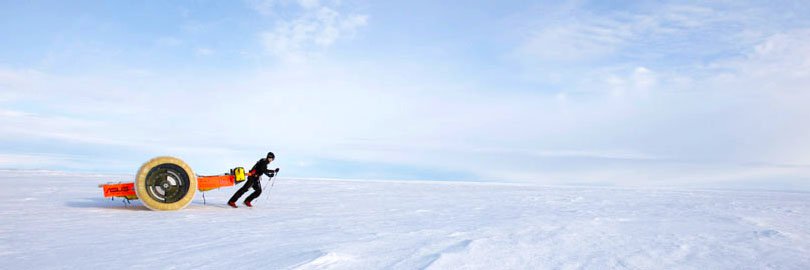Arctic Expeditions