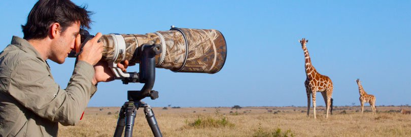 Photo Safaris