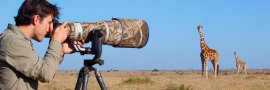 Photo Safaris