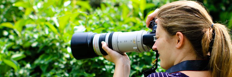 Try our lenses!