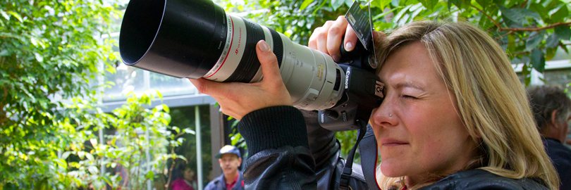 Borrow a DSLR for the day, even try our lenses!
