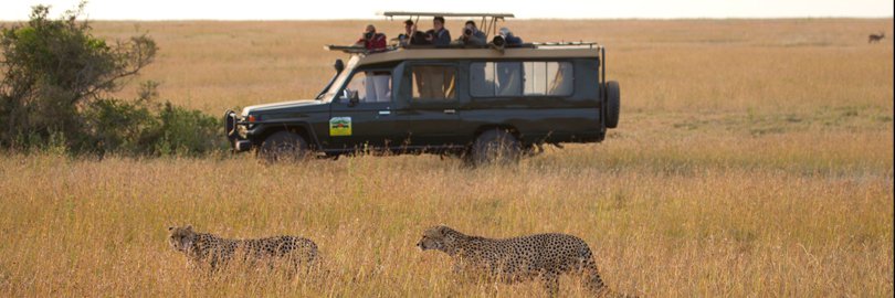 KENYA Safari Tours