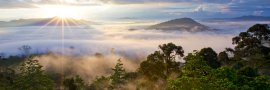 Dawn over the jungles of Borneo