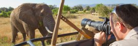KENYA Safari Tours