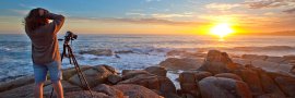 TASMANIA Safari Tours