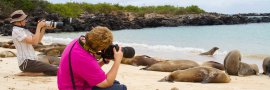 GALAPAGOS