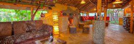 Amazing Accommodation