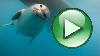 Our latest Video Update! - Click for full-size.