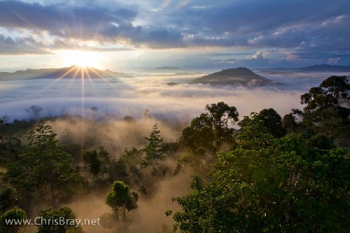 Dawn spills over the jungles of Borneo - Click for full-size.