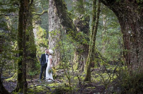 A photo shoot in the forest! - Click for full-size.