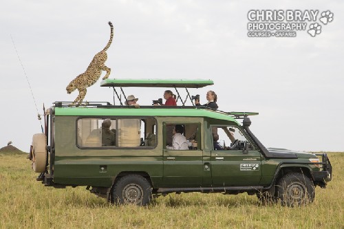 On Safari in Kenya - Click for full-size.