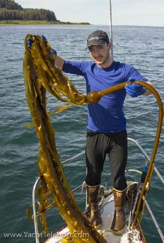 No wonder the anchor was harder than normal to haul up!